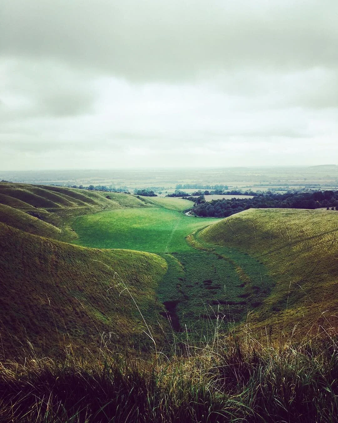 🌳🌳🌳🌳🌳🌳🌳🌳🌳🌳🌳🌳🌳👀 #niceview