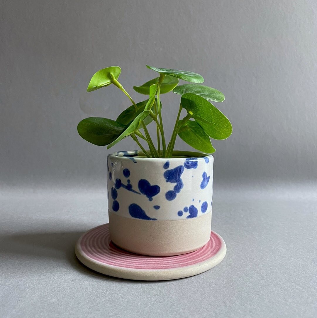 Blue polka tumbler on a pink groovy coaster with a verrrrrry realistic IKEA fake plant, lovely🪴 
.
.
.
#loveceramic #ihavethisthingwithceramics #ceramicart #ceramics #ceramicdesign
#clay #contemporaryceramic #modernceramics
#handthrown #keramic #col