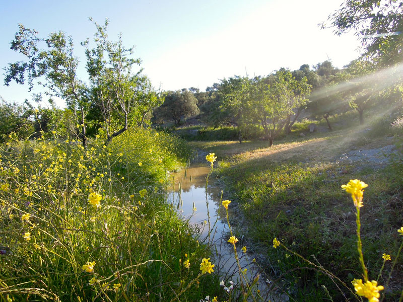 Zanja de infiltración de agua