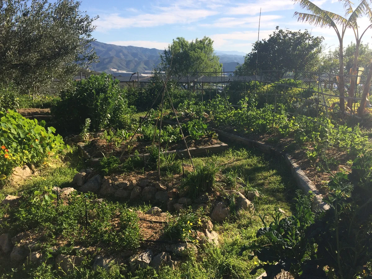 About Permaculture Farm — La Loma Viva