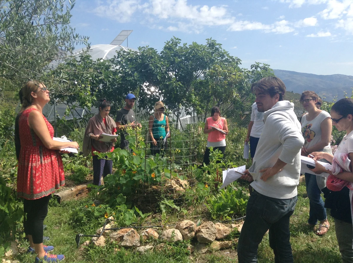 PDC 2016 students observing permaculture principles in the garden