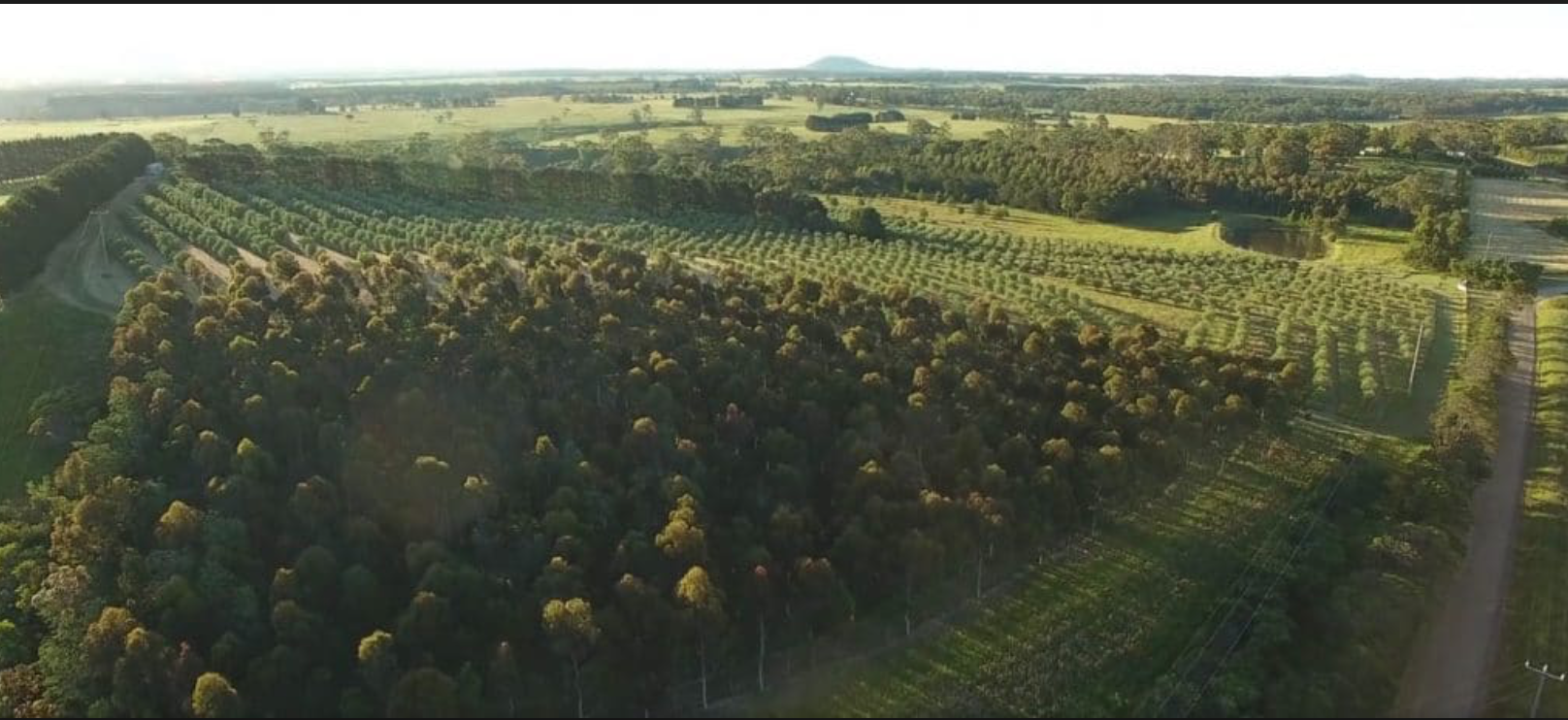 Regeneración “Nuestra principal responsabilidad es la mejora regenerativa de los procesos ecosistémicos de la biosfera”