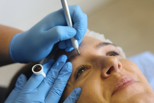 Microblade Training in a Professional Environment