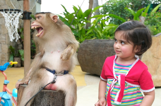 Maryam, Singapore Zoo, 2007