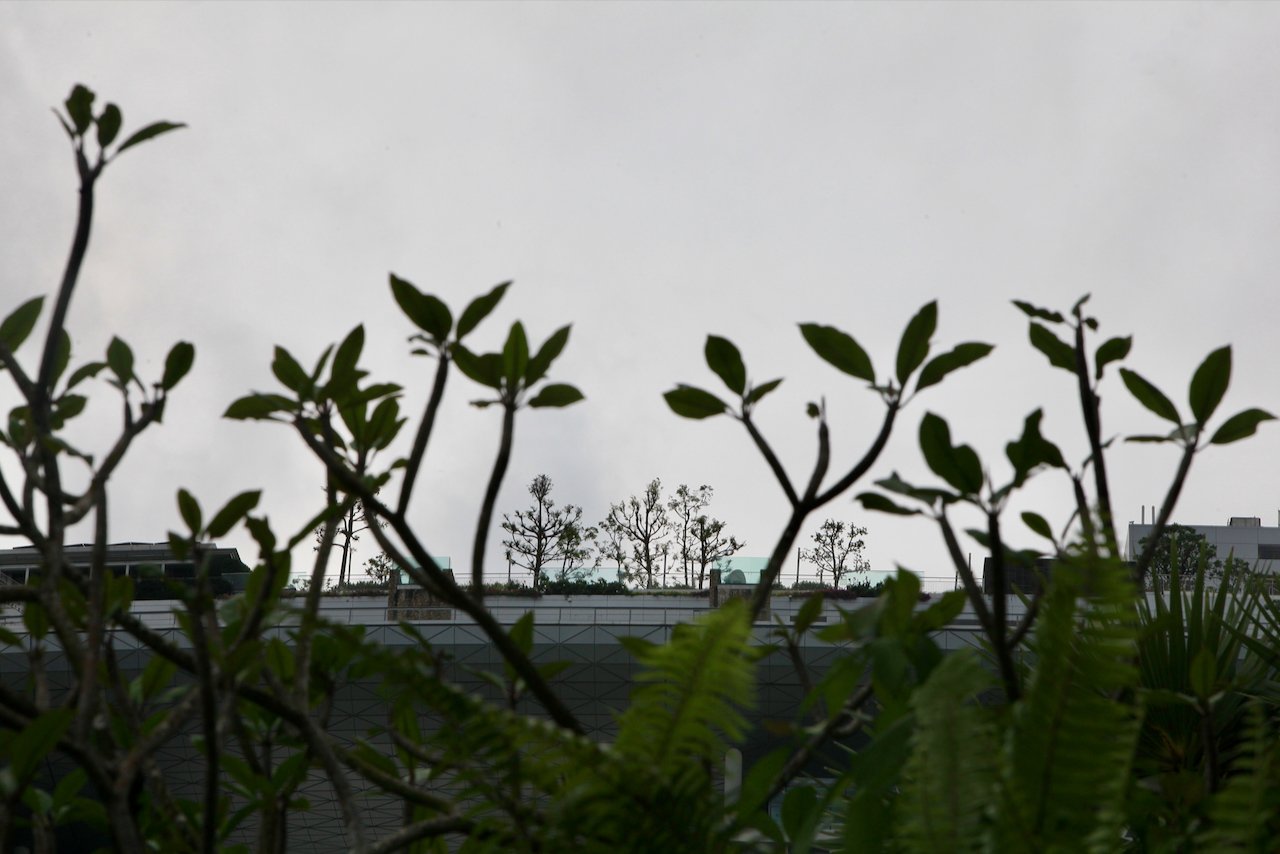 Gardens by the Bay, 2025