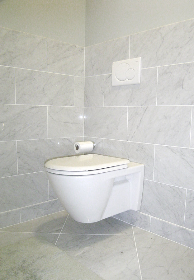 Modern Floating Toilet Bathroom Renovation Princeton.jpg