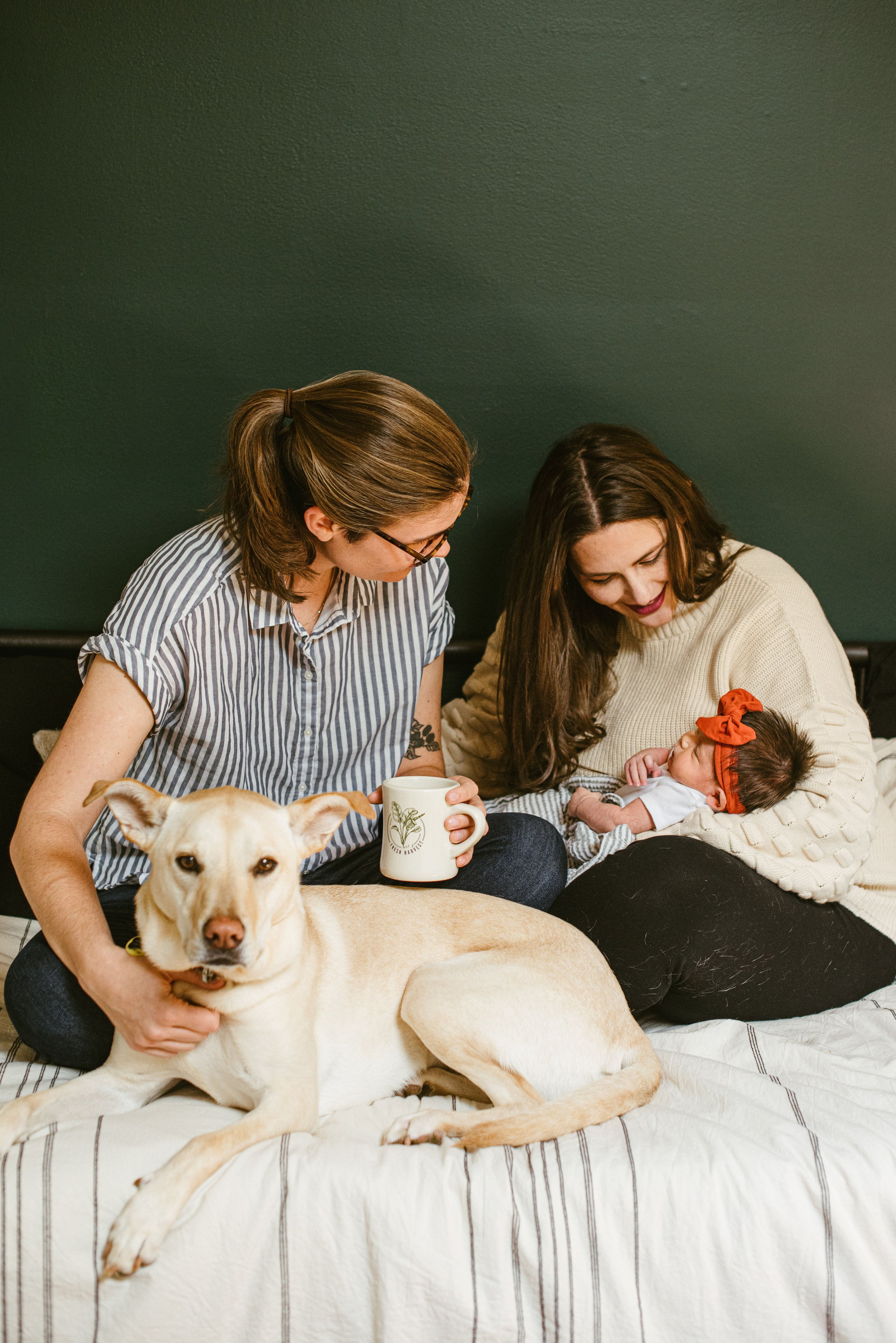 kjp-14.jpg