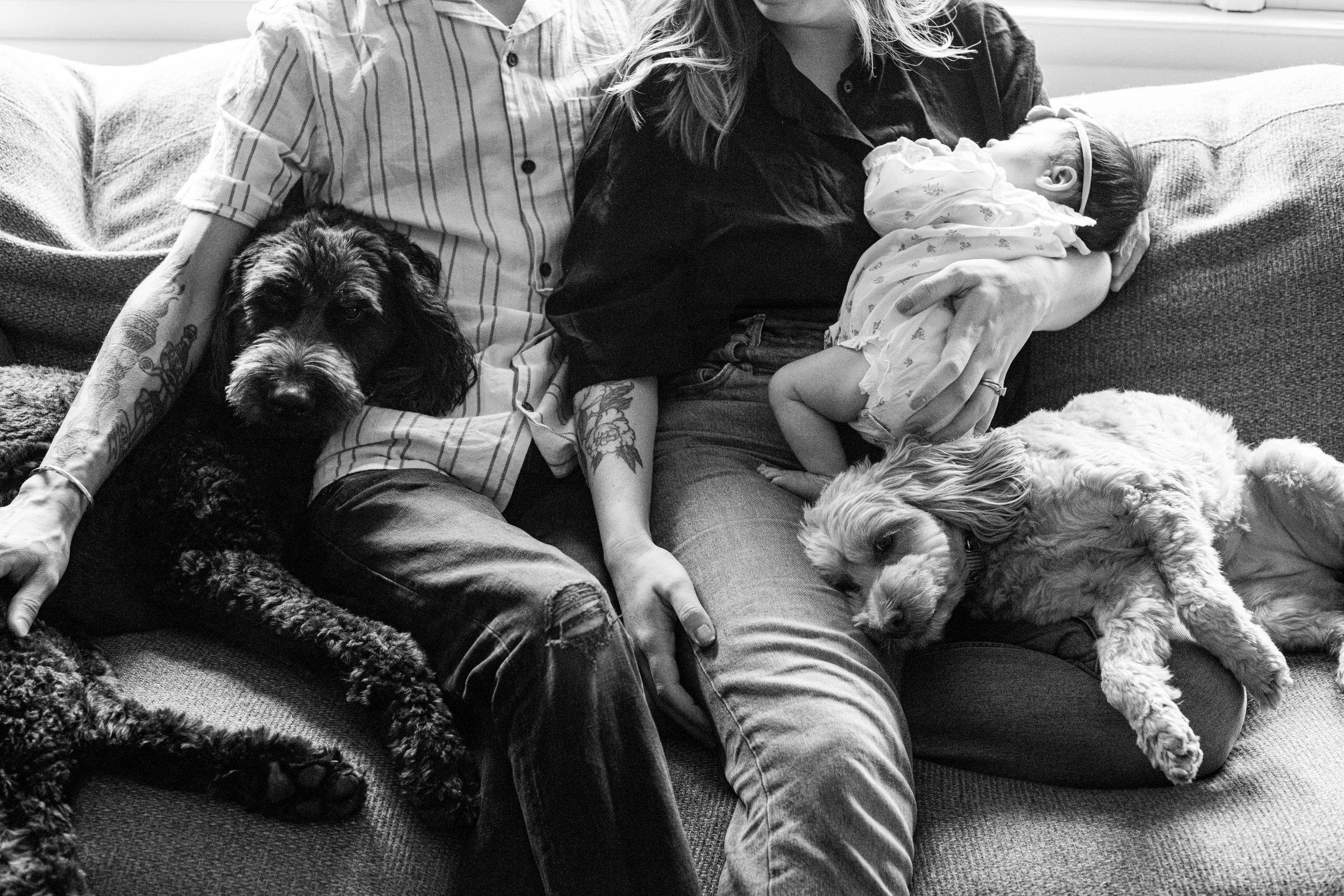 A woman holding a baby, sitting on a couch with two dogs. The woman has long hair and tattoos on her arm, wearing a dark shirt. The baby is dressed in a patterned outfit and headband. One dog is a large black and white breed, lying next to the woman,