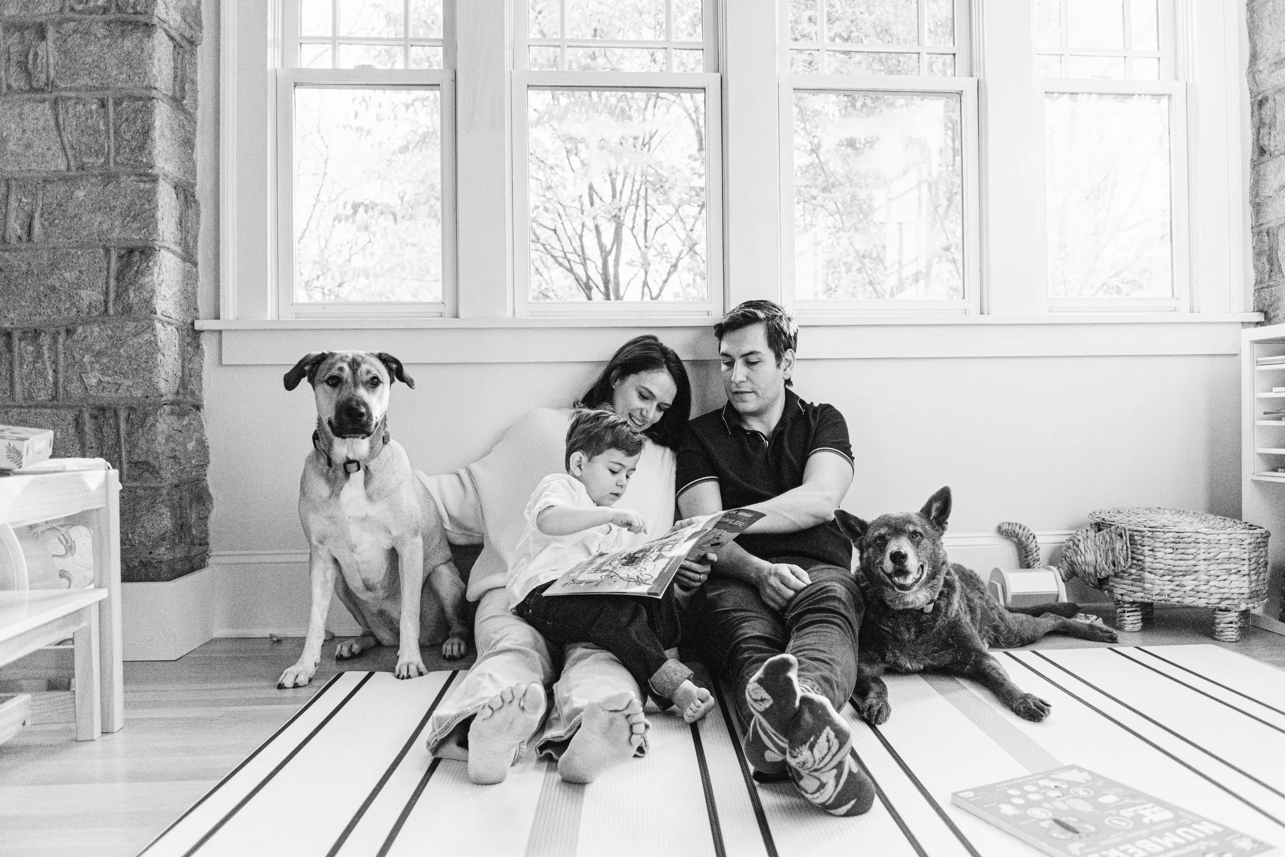A family of four sitting on the floor of a living room, reading a book together, with two dogs nearby and large windows in the background.