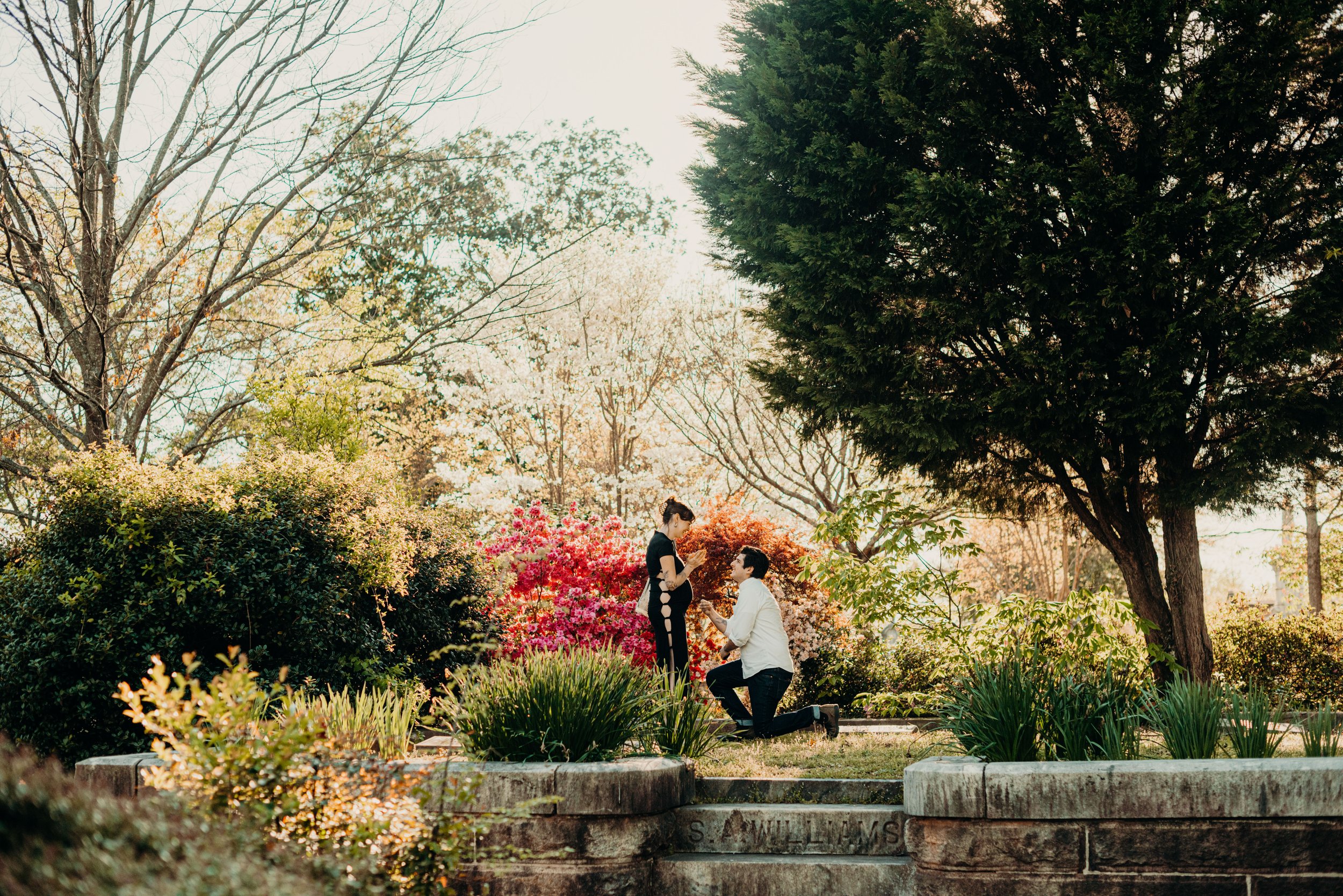 A couple is showing a ring to each other in a garden with colorful flowers and trees.