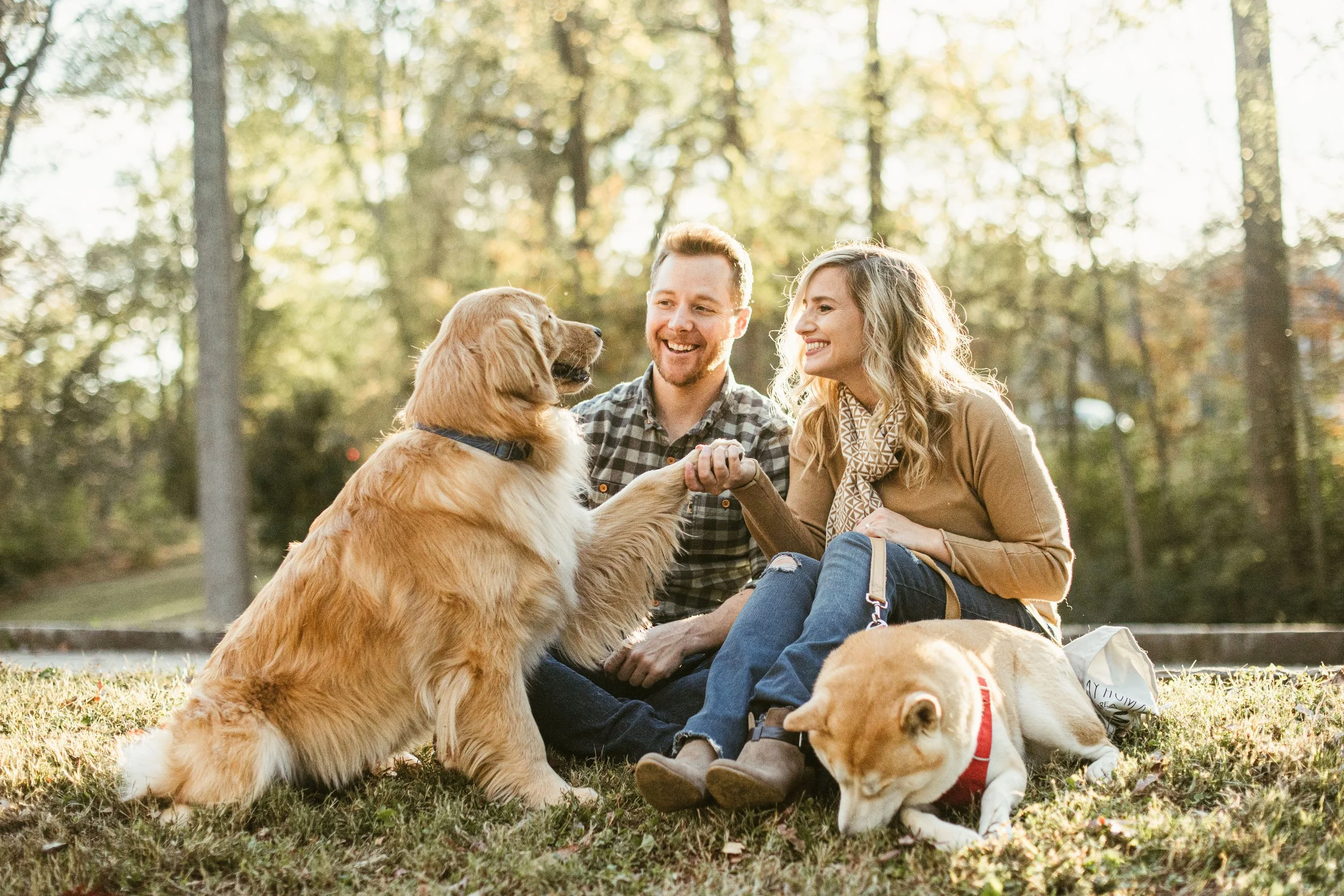 A happy couple sitting on the grass in a park, surrounded by dogs, enjoying a sunny autumn day.