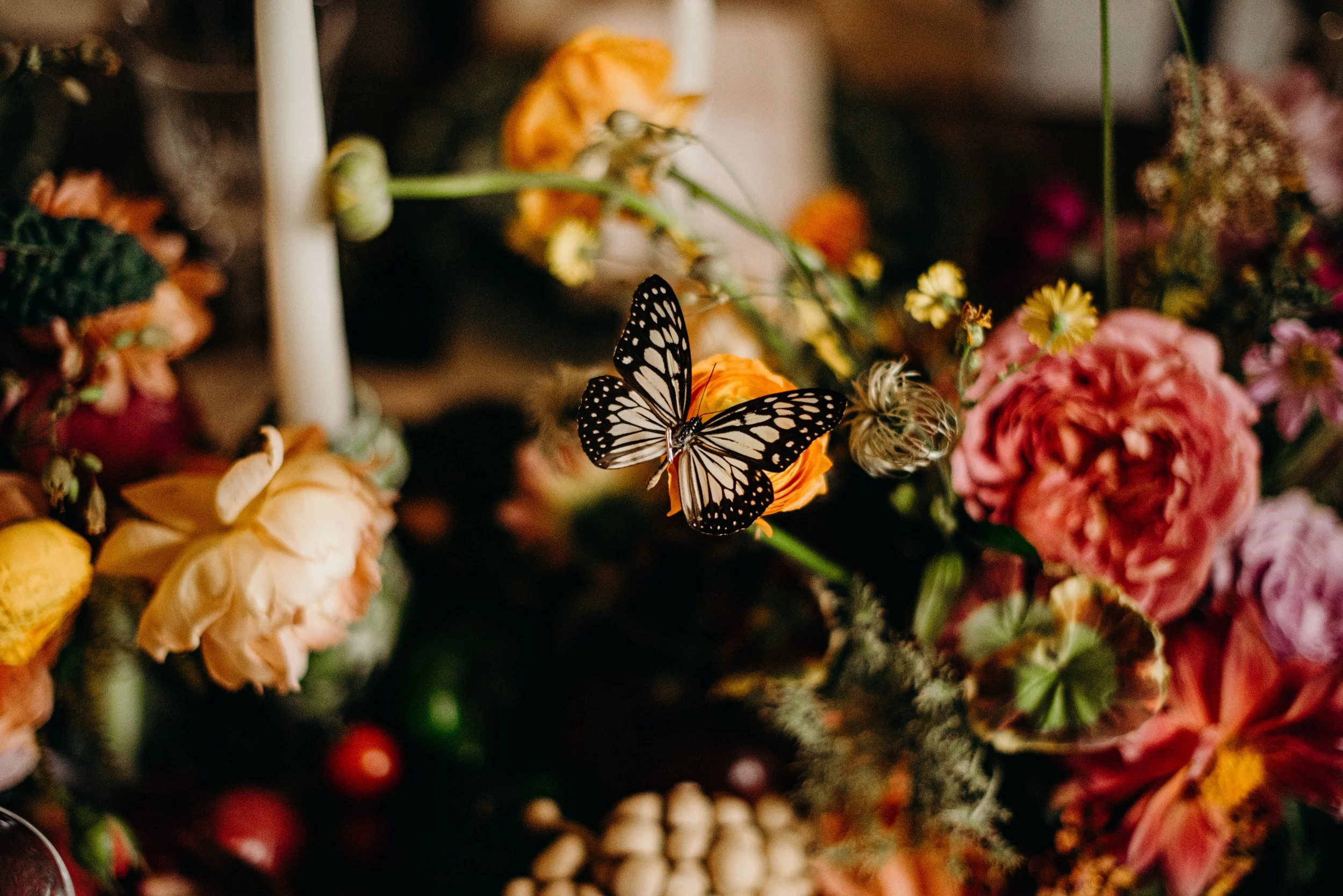 A black and white butterfly resting on a yellow-orange flower amid a colorful array of flowers and greenery.