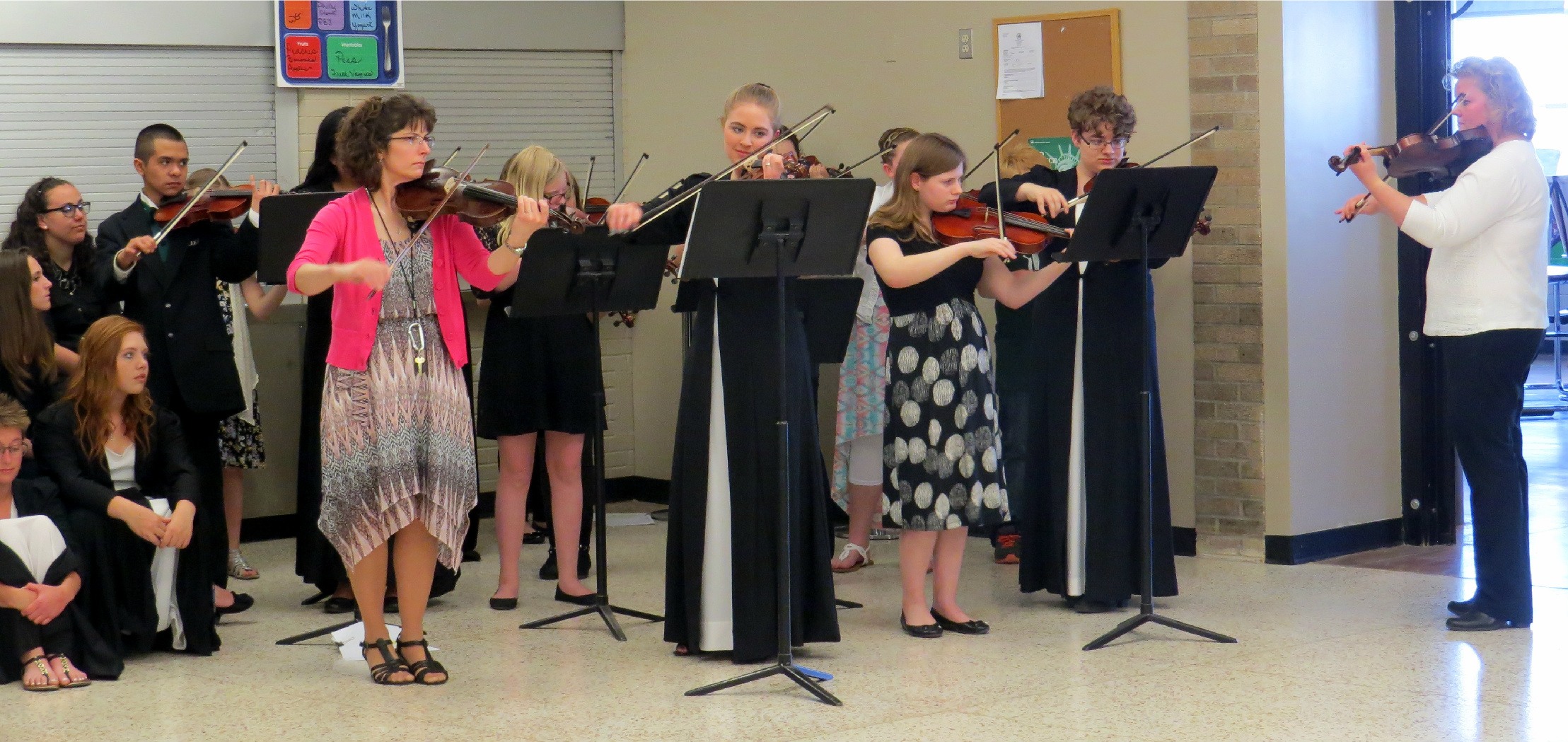 Fine Arts - Strings at Laker High School