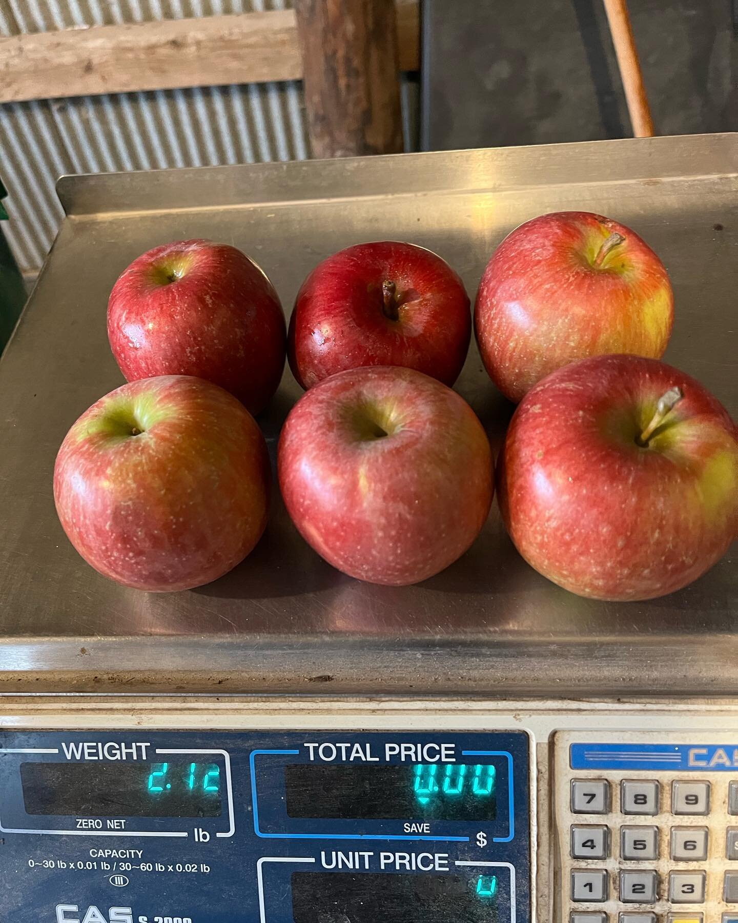 Apple sale! Although we have sold about 500 pounds of apples, we still have about 300 pounds of Haralson and 200 pounds of Regents left to sell. We will sell these at half price 2 pounds for one dollar until they are gone. 

Look forward to seeing yo