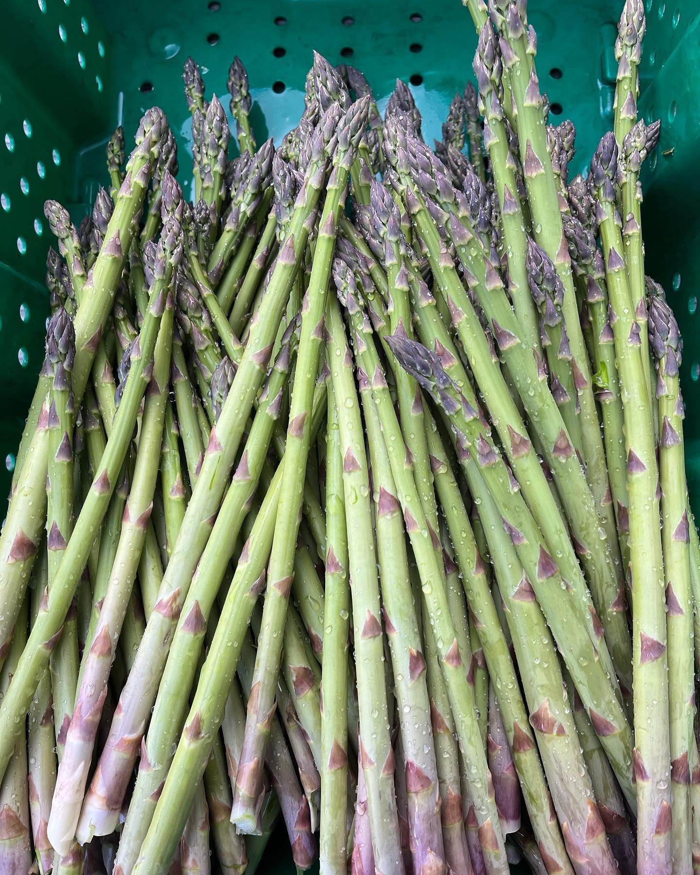Greetings to our strawberry and asparagus customers! 

💚First &ndash; asparagus:
We now have fresh asparagus on the farm for four dollars a pound starting Friday, May 10 (9am til 5pm). We will also be open this coming Sunday-Mother&rsquo;s Day.
We s