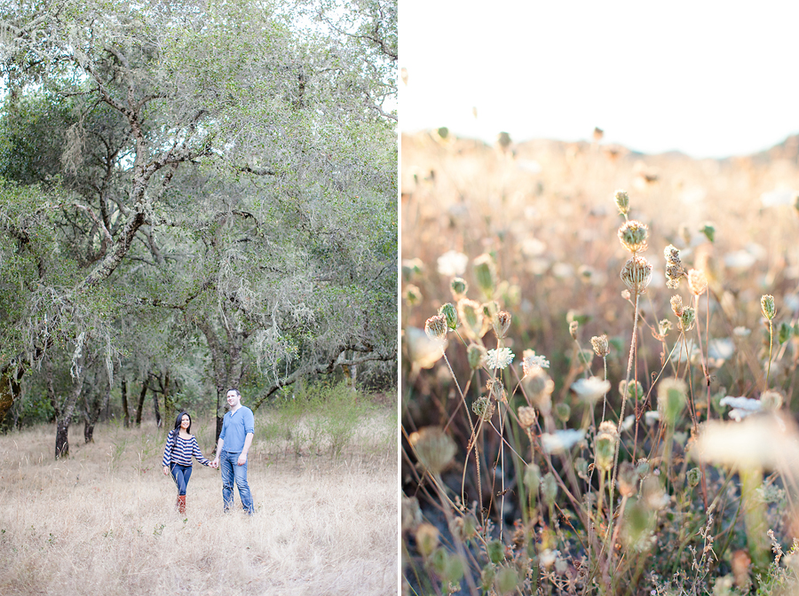 Napa Valley Engagement Pictures-43.jpg