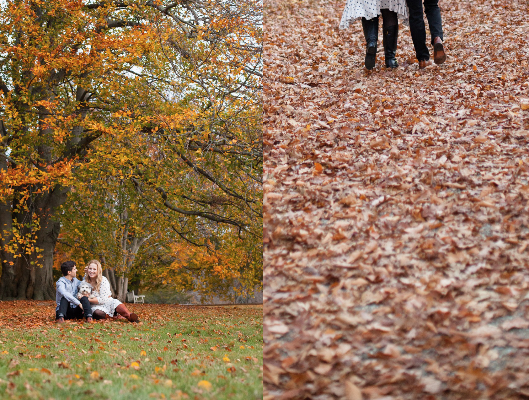 Ocean Lawn engagement magnolia MA 1.png