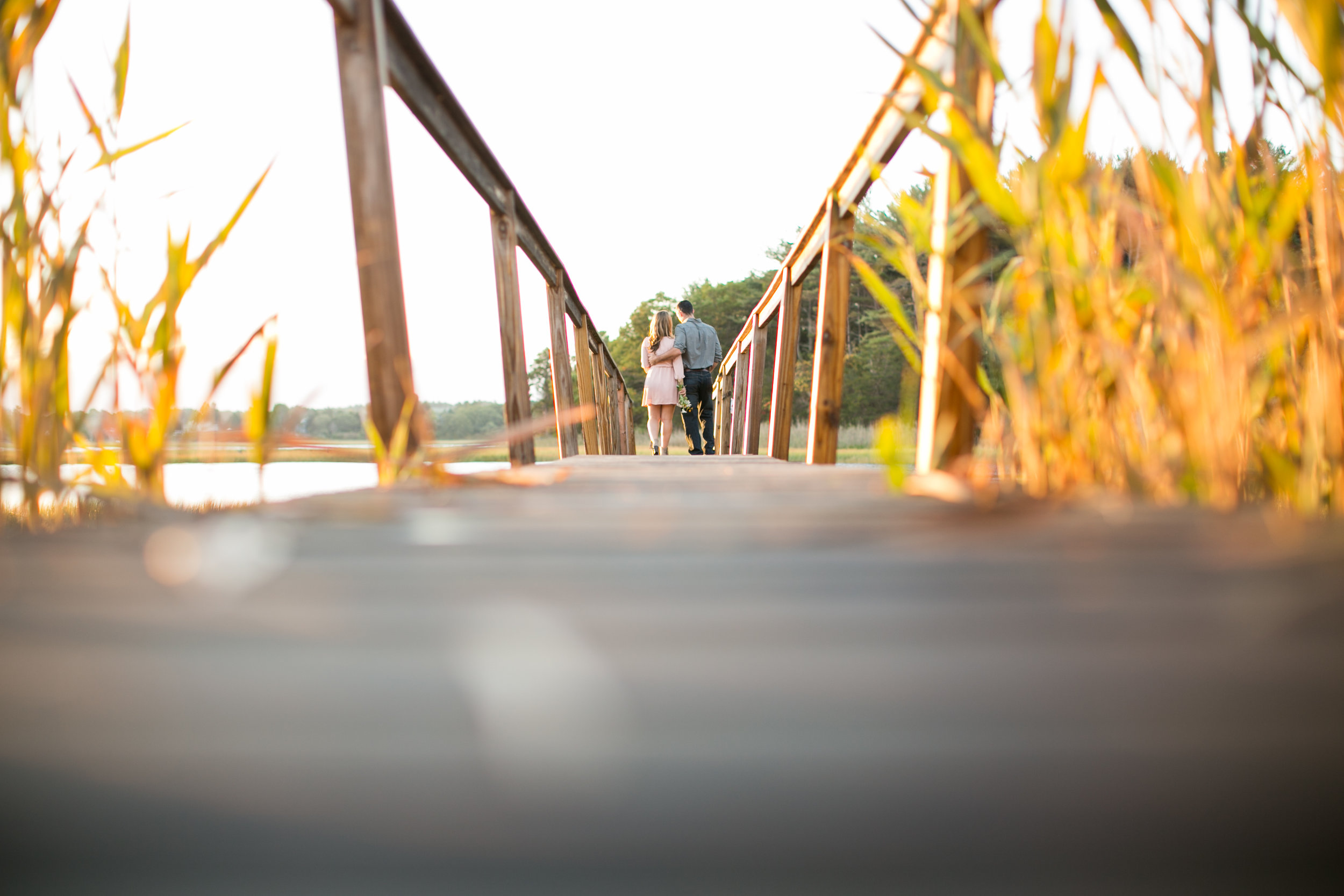 Gloucester ma engagement magnolia photographie-1.jpg