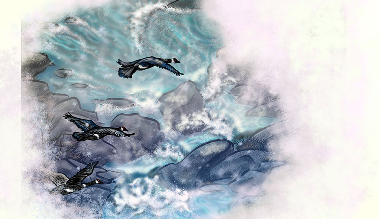 CH01_01.png
