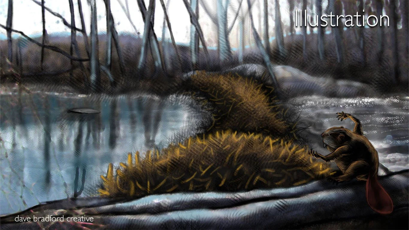 DBC_Illustration007.jpg
