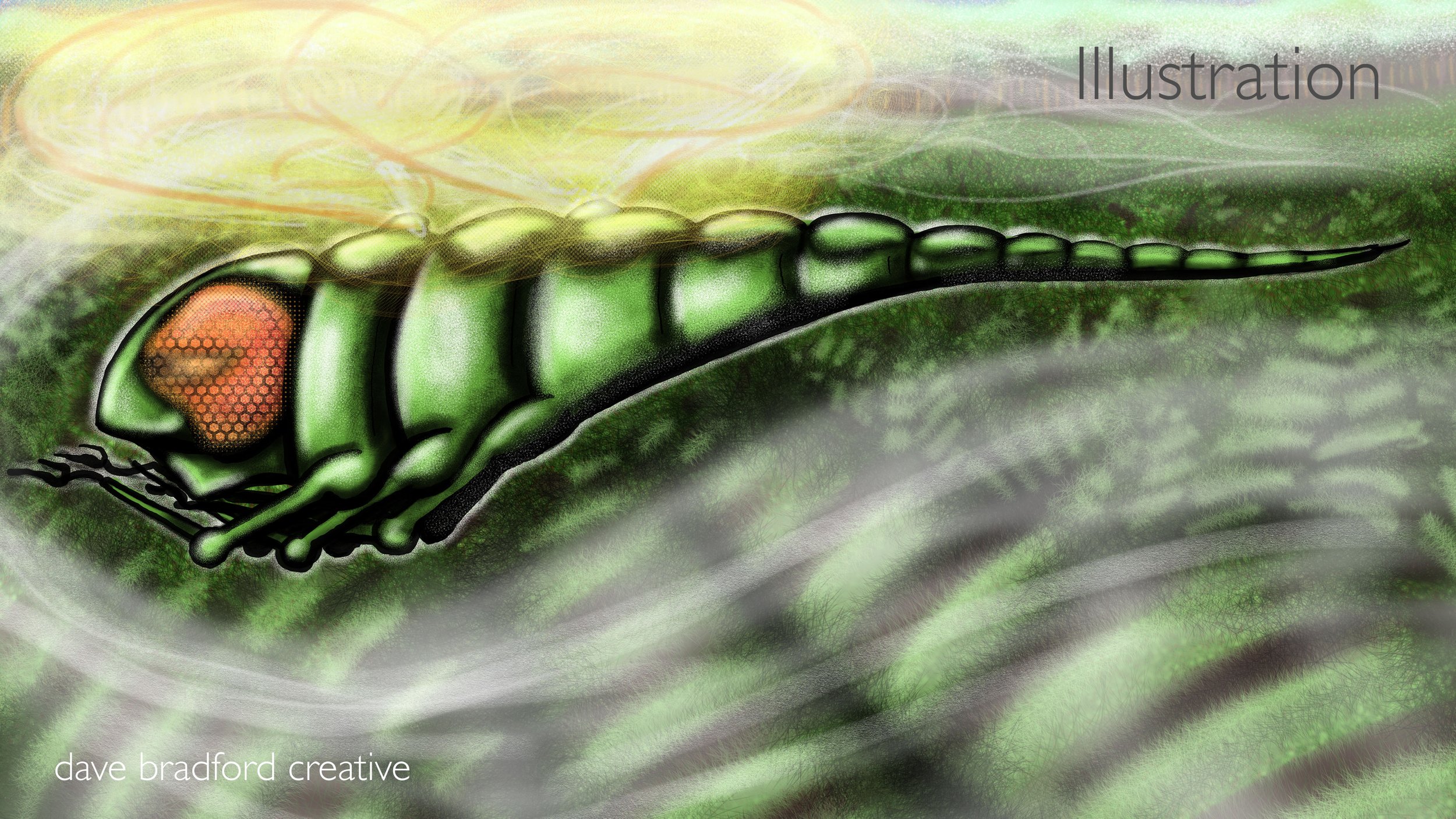DBC_Illustration015.jpg
