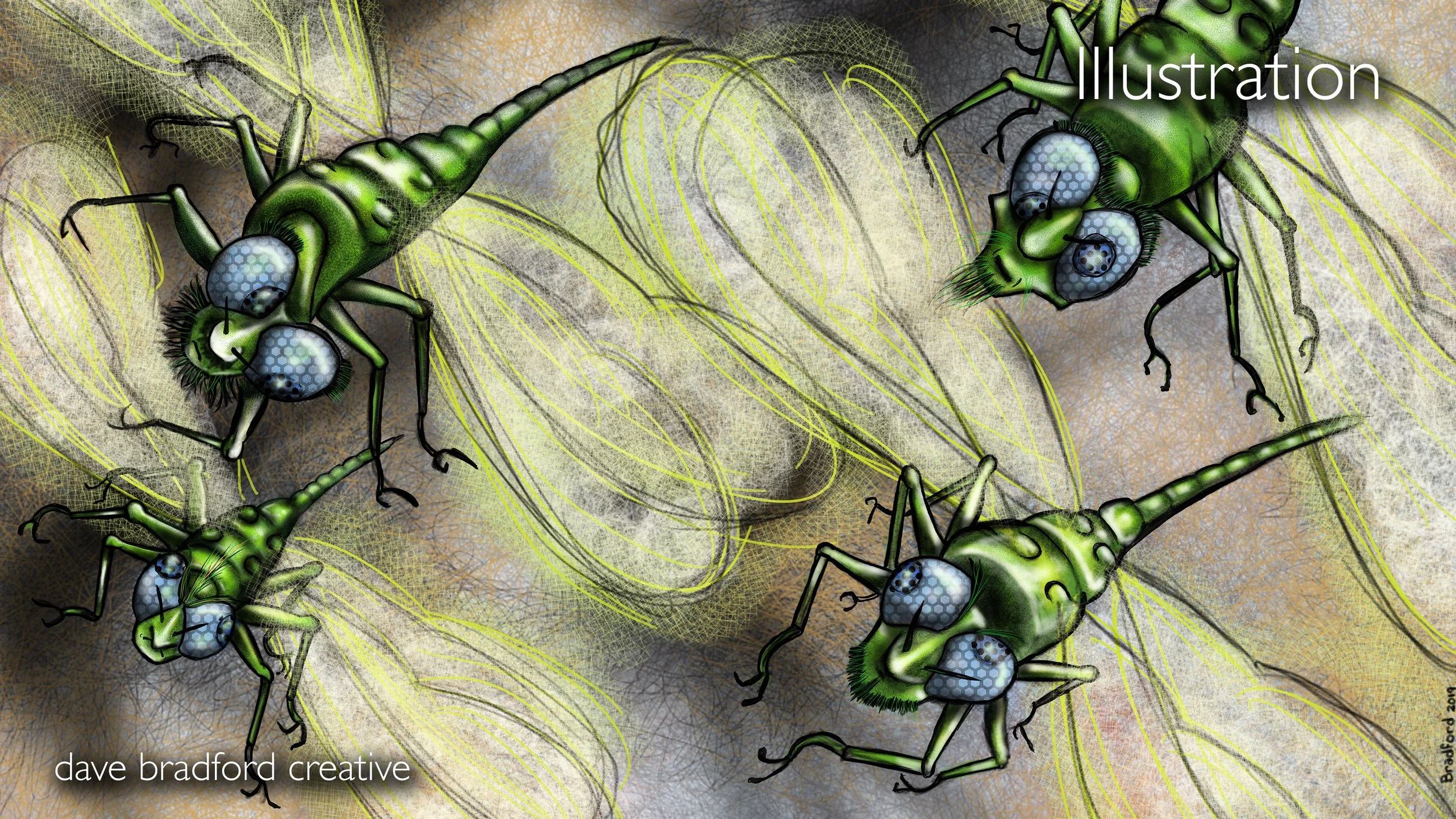 DBC_Illustration022.jpg