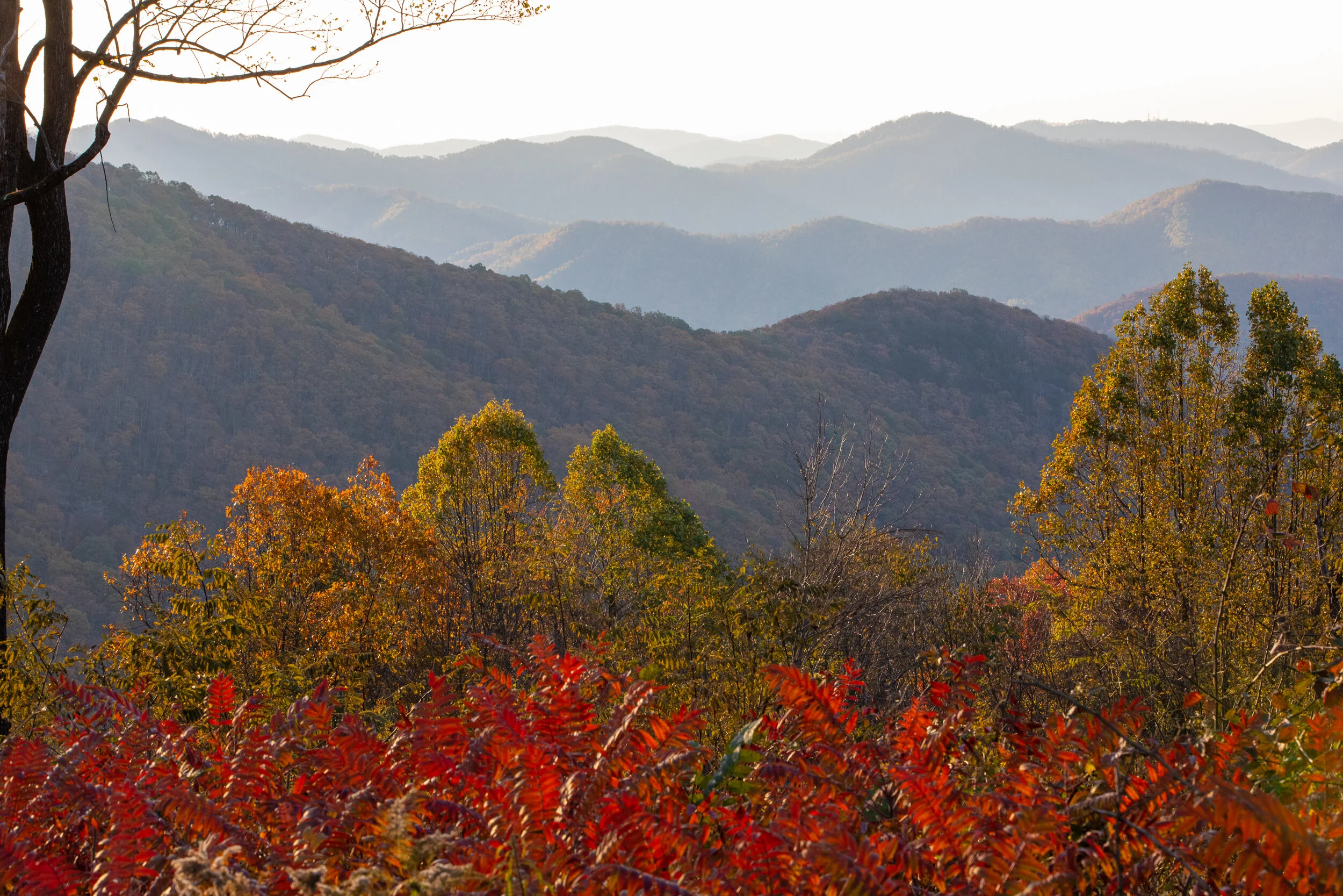 0047__JP_8075.jpg