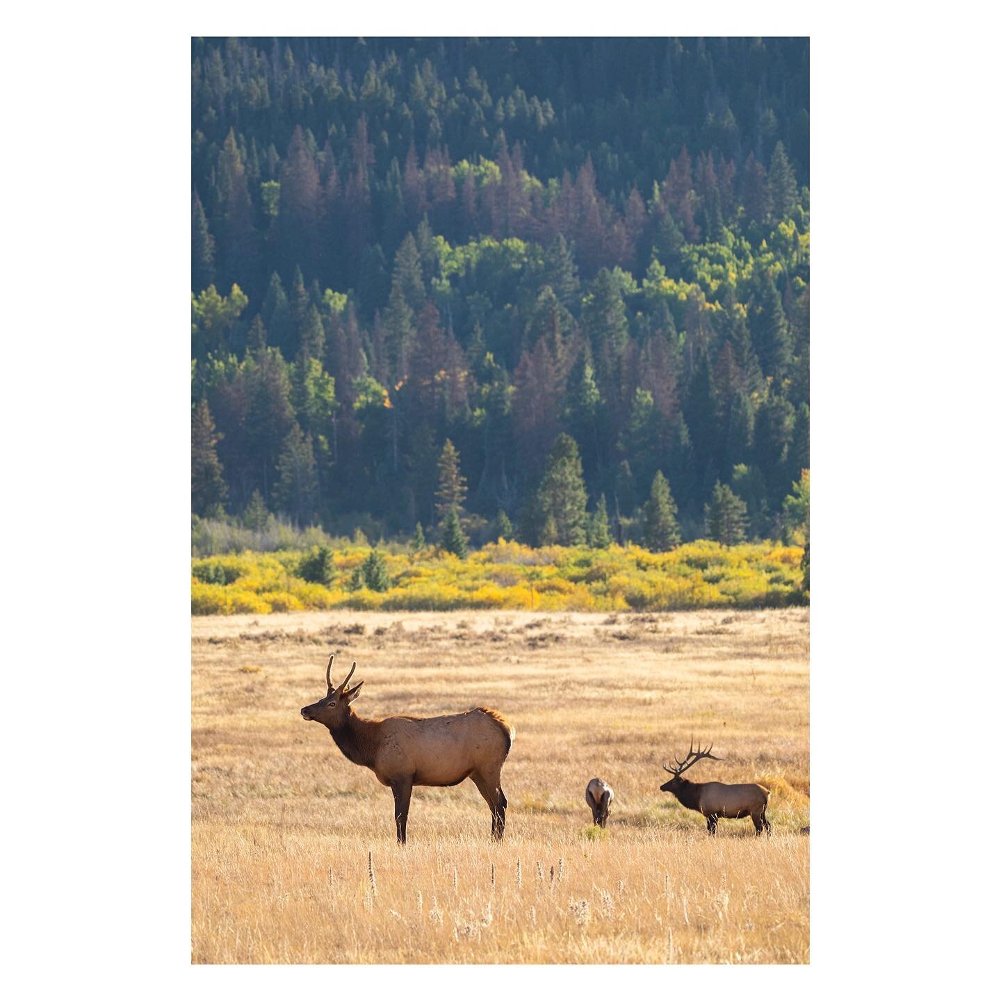 I&rsquo;m still processing everything from this past week, so have been avoiding posting. But, checking in to deliver some good news! Monday is Martin Luther King Jr. Day and it is also a fee free park day! Destress outside at your favorite local NPS
