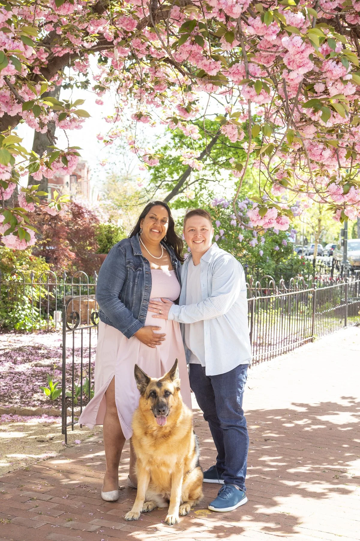 A pregnant woman and a man, likely her partner, standing outdoors under a blooming pink cherry blossom tree, with a German shepherd dog sitting in front of them. They are smiling and holding her baby bump, in a park or garden on a sunny day.