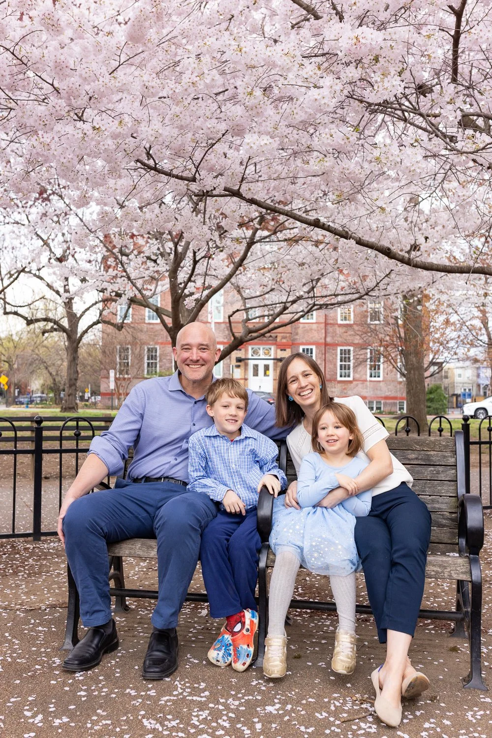 A family of four sitting on a park bench under a cherry blossom tree in bloom, smiling at the camera.