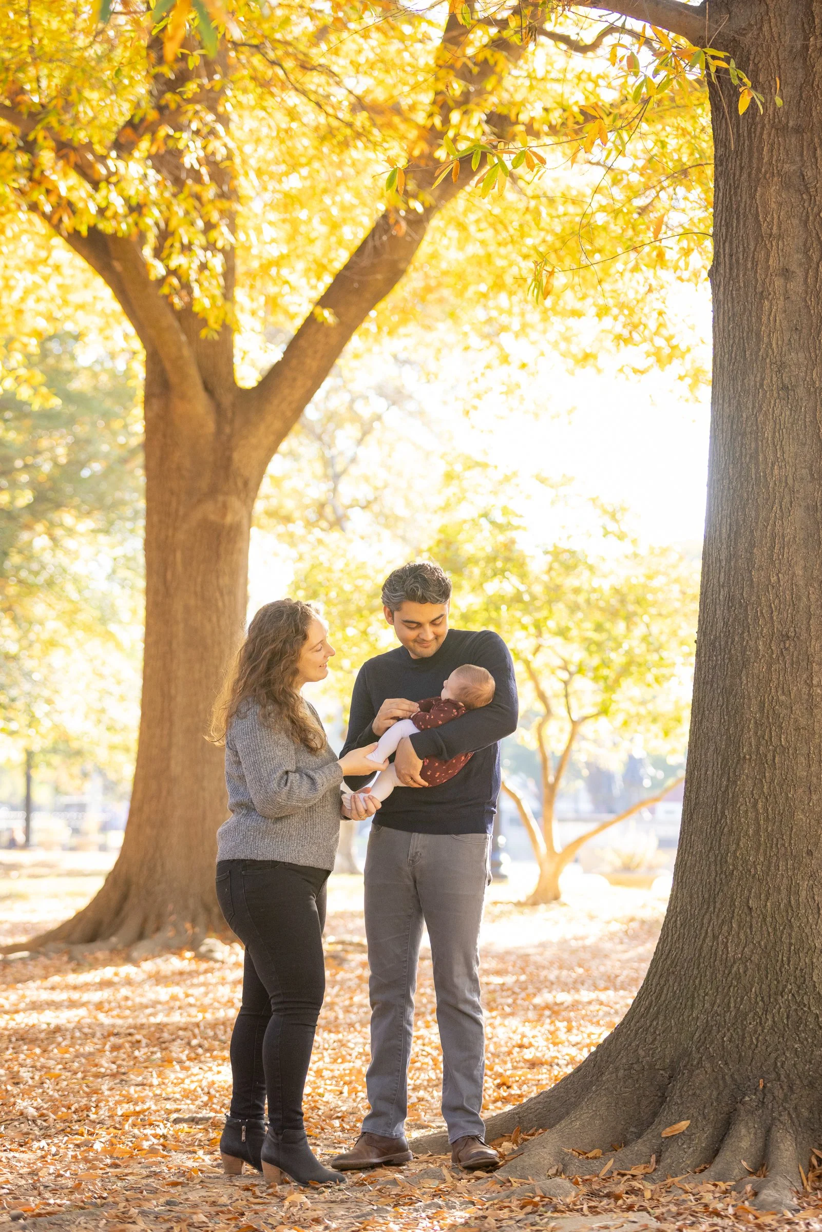 A family of three, a man and woman with a baby, standing outdoors in a park with large trees and autumn leaves. The man is holding the baby, and the woman is touching the baby's hand, both smiling together.