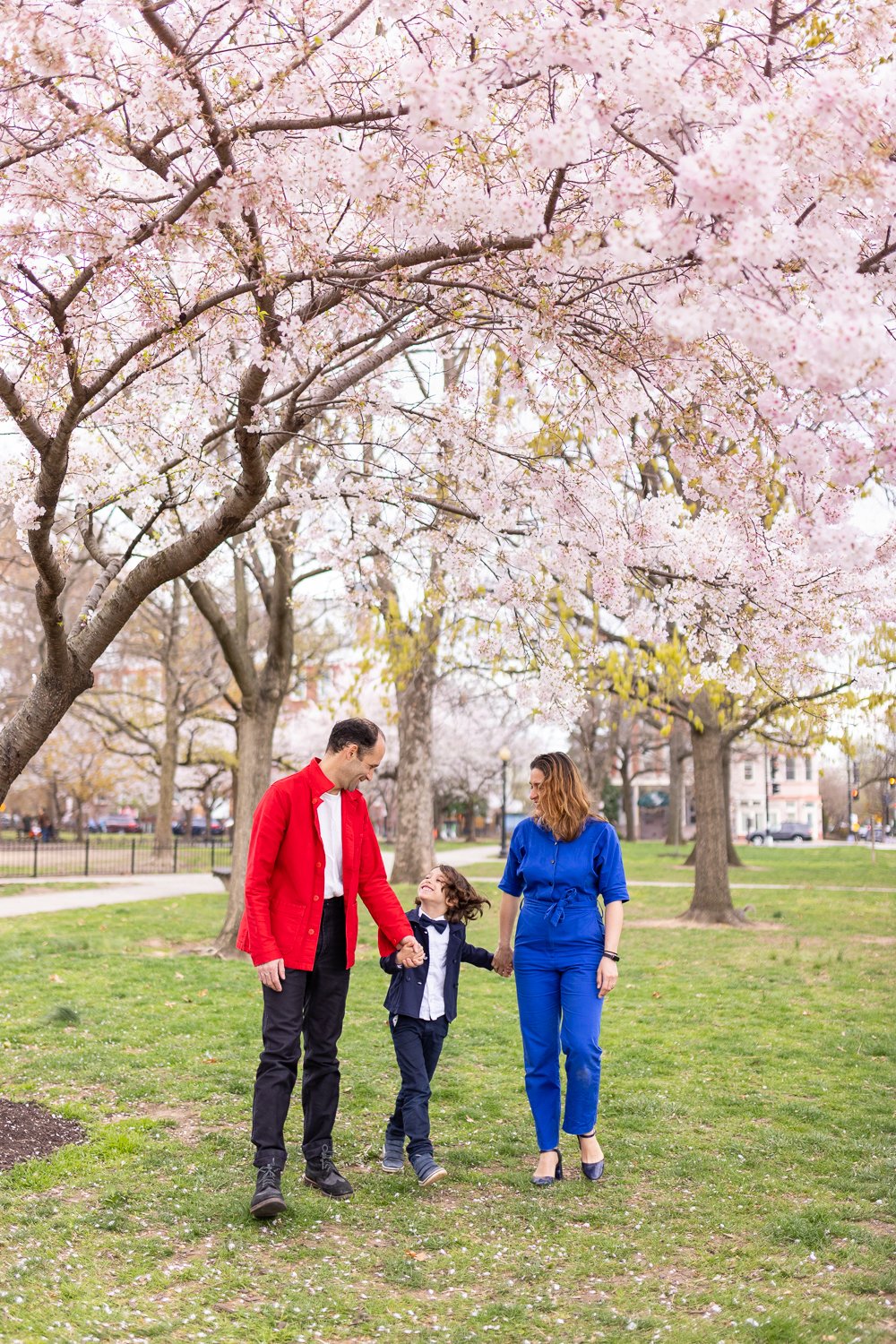 A family of three walking hand in hand in a park with blooming cherry blossom trees, with pastel pink flowers and green grass.
