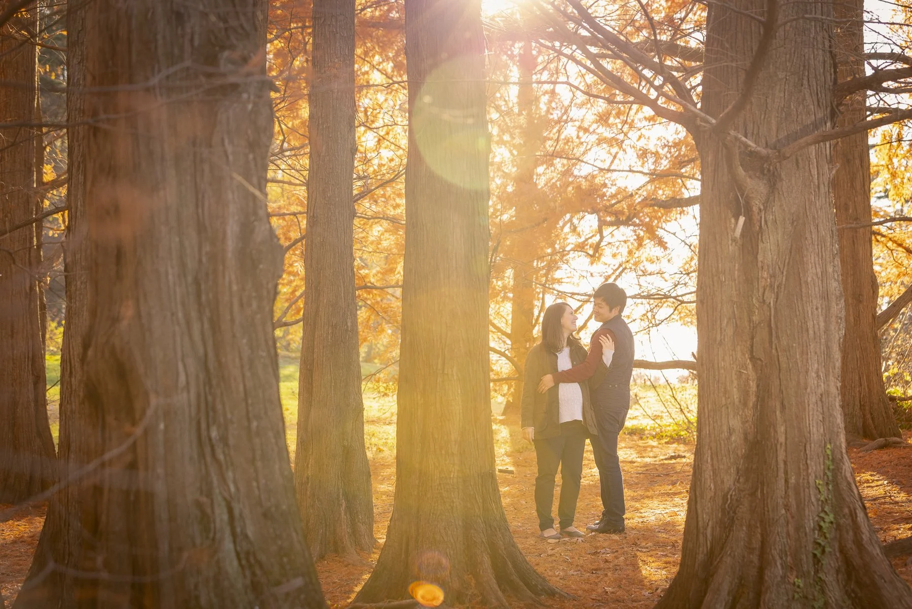 A couple standing close together among tall trees in an autumn forest, bathed in warm sunlight.