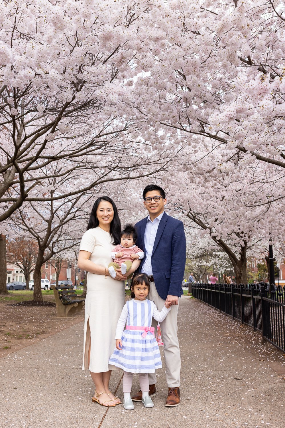A family of four standing under blooming cherry blossom trees in a park, holding children and smiling.
