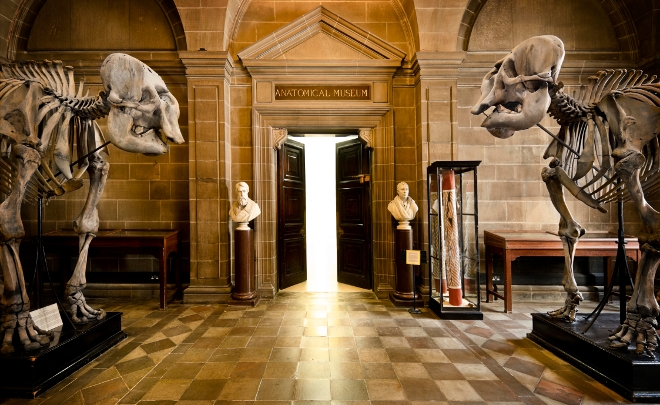 museum.jpg