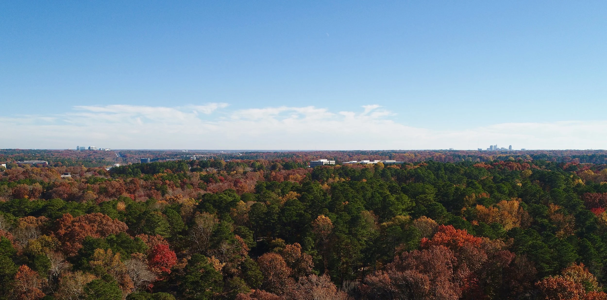 DJI_0041 3.jpg