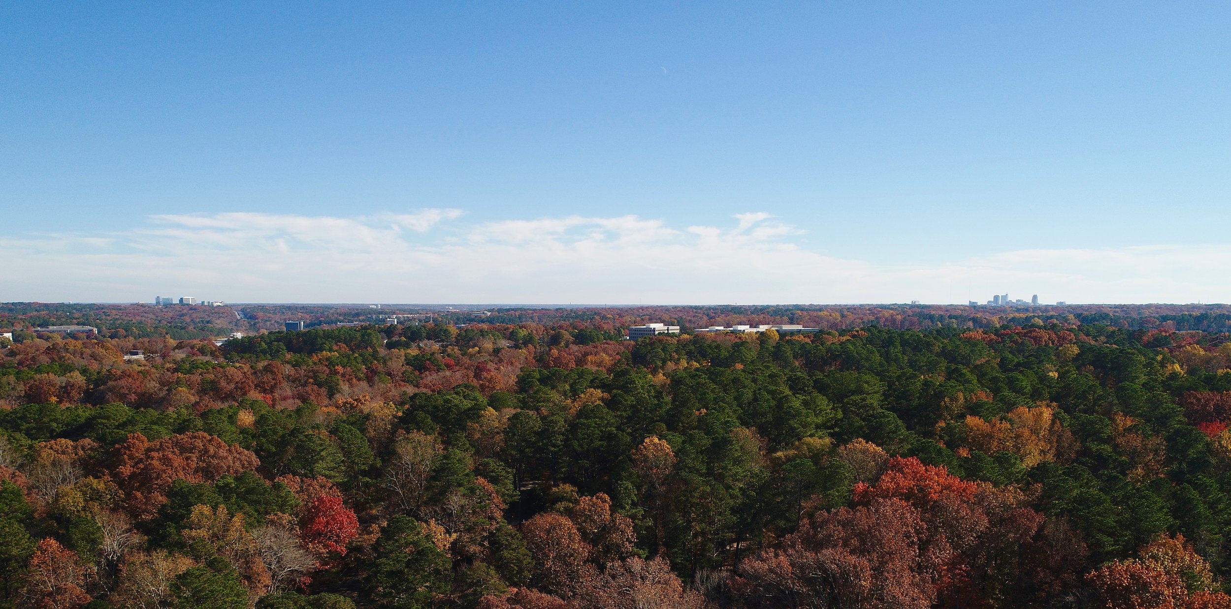 DJI_0041 3.jpg