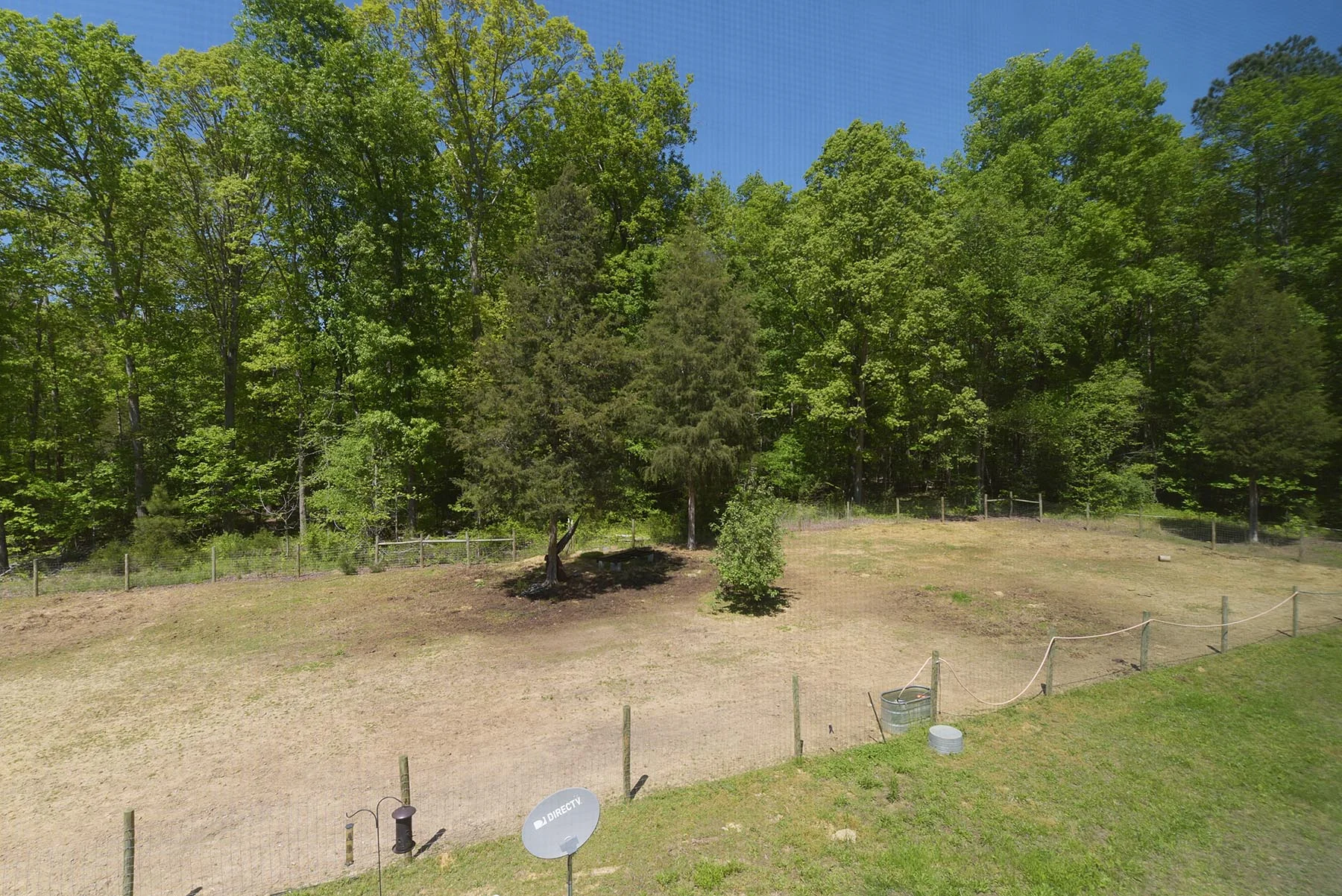 16b.JPG