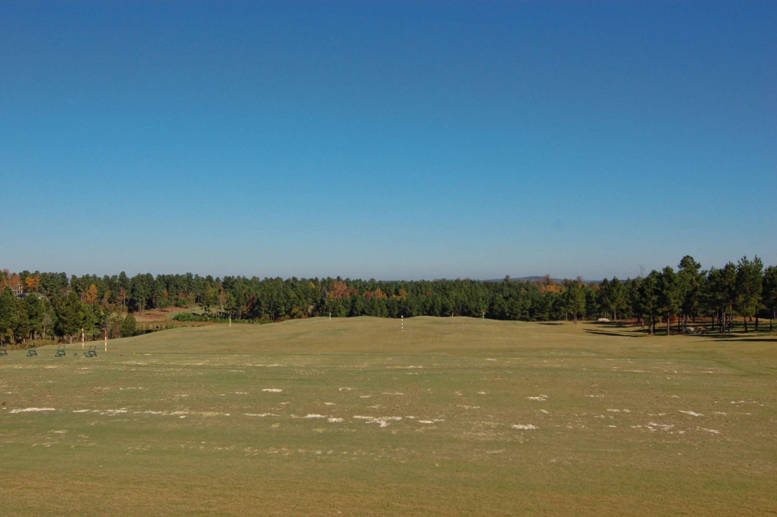 DSC_0893.JPG
