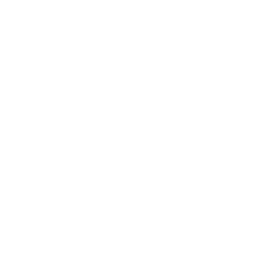 Ritz-carlton-1.png