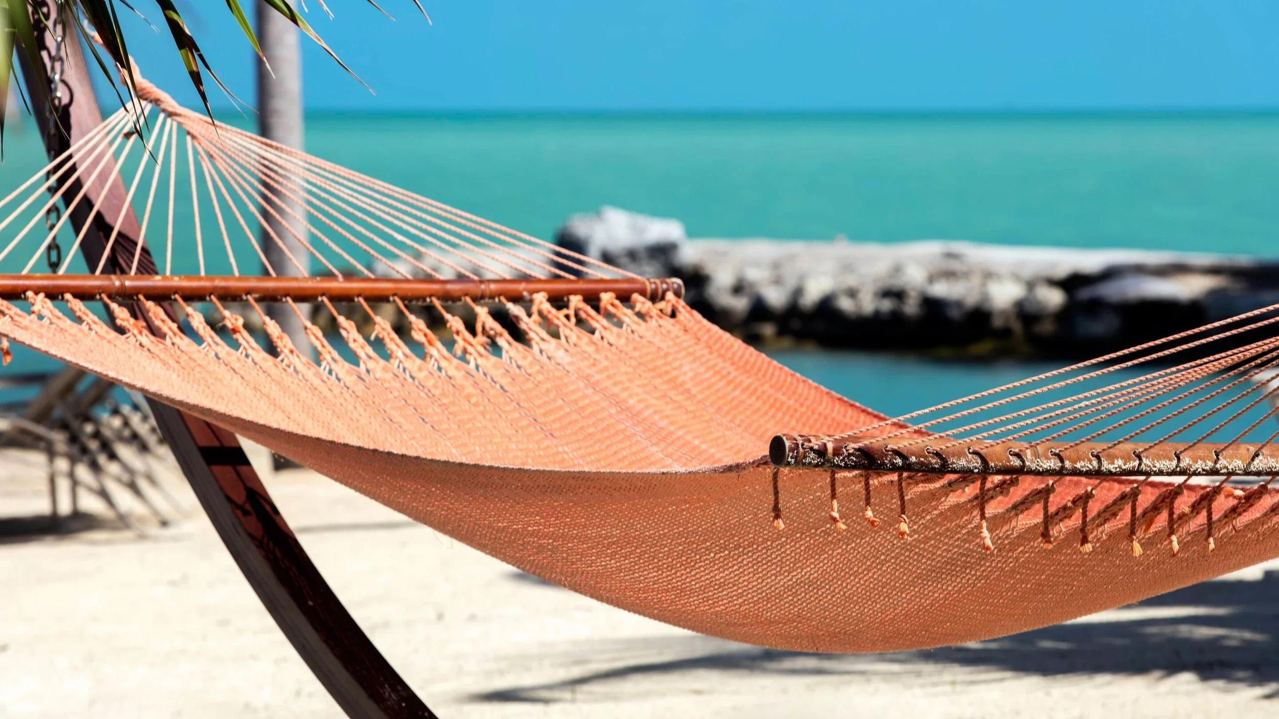 mthmc-hammocks-0052-hor-wide.jpg