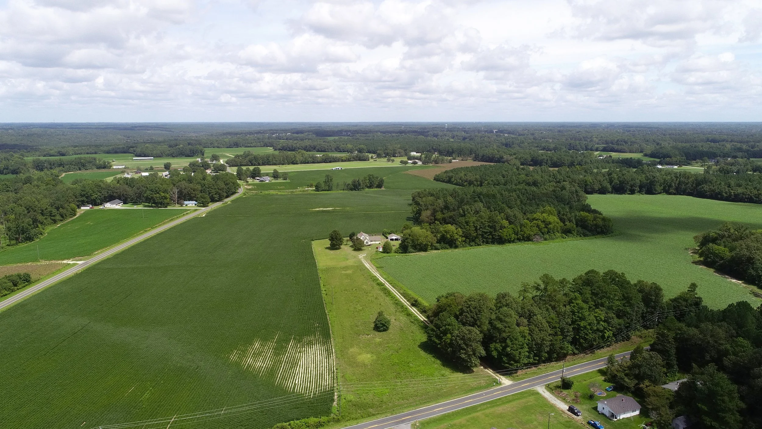 DJI_0742.jpg
