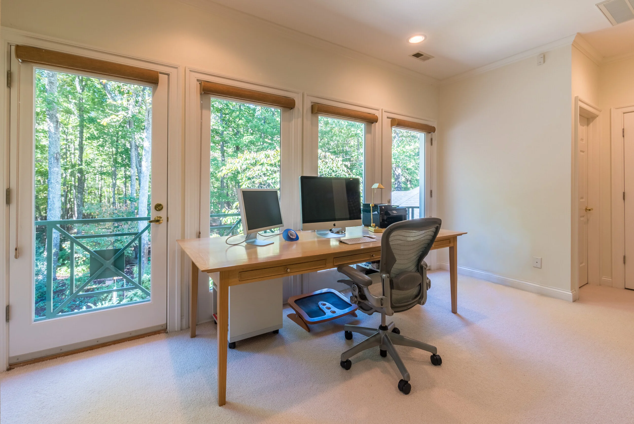 _UPSTAIRS OFFICE plant _ wires removed .jpg