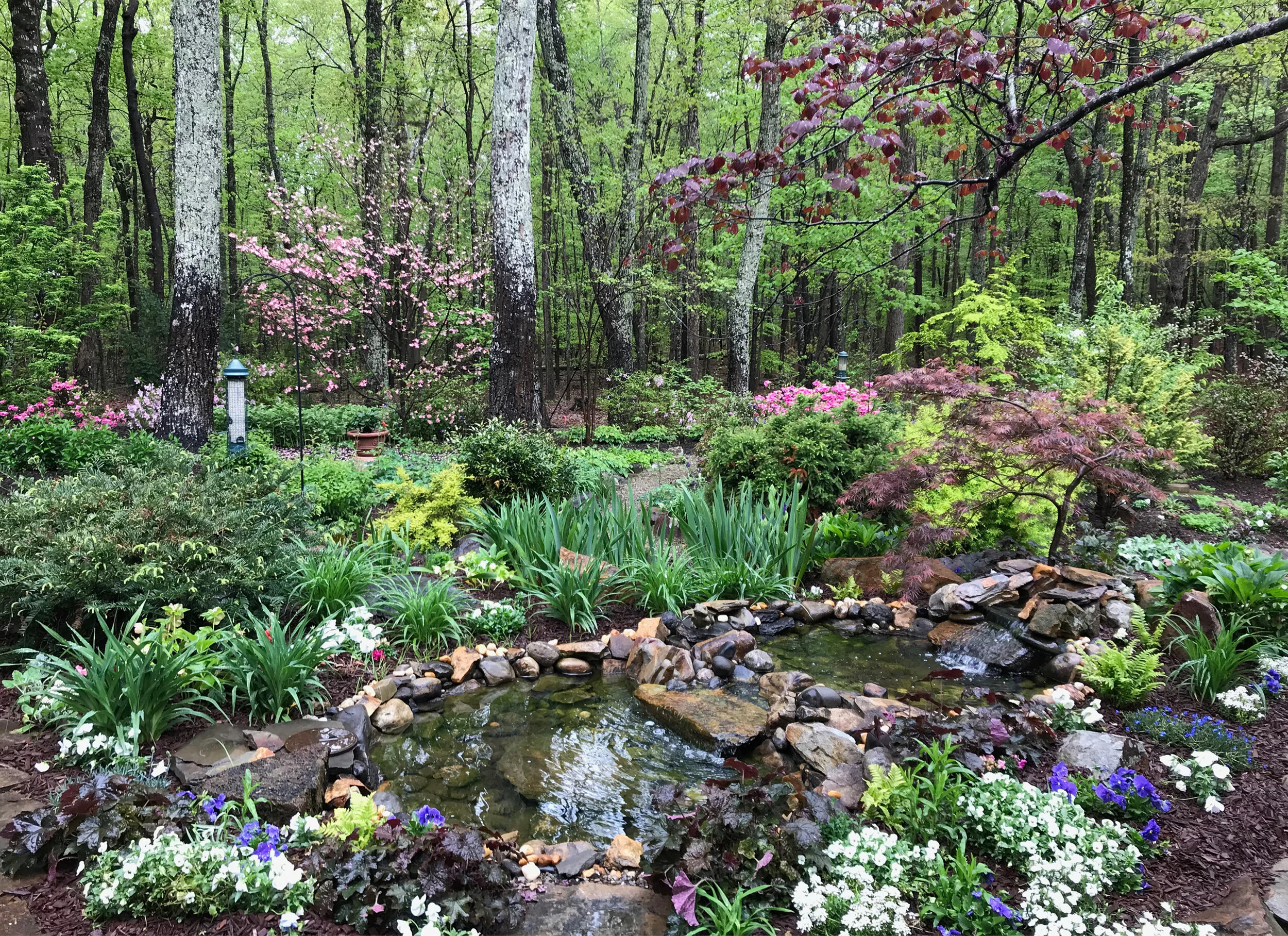 Pond _ GARDENS...jpg