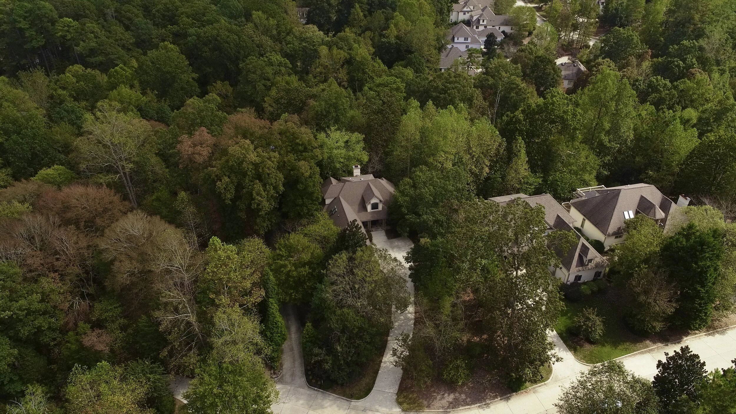 DJI_0361.jpg