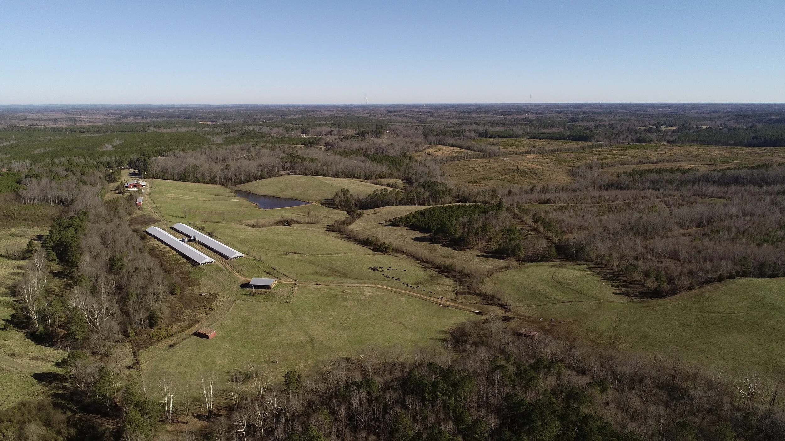 DJI_0359.jpg