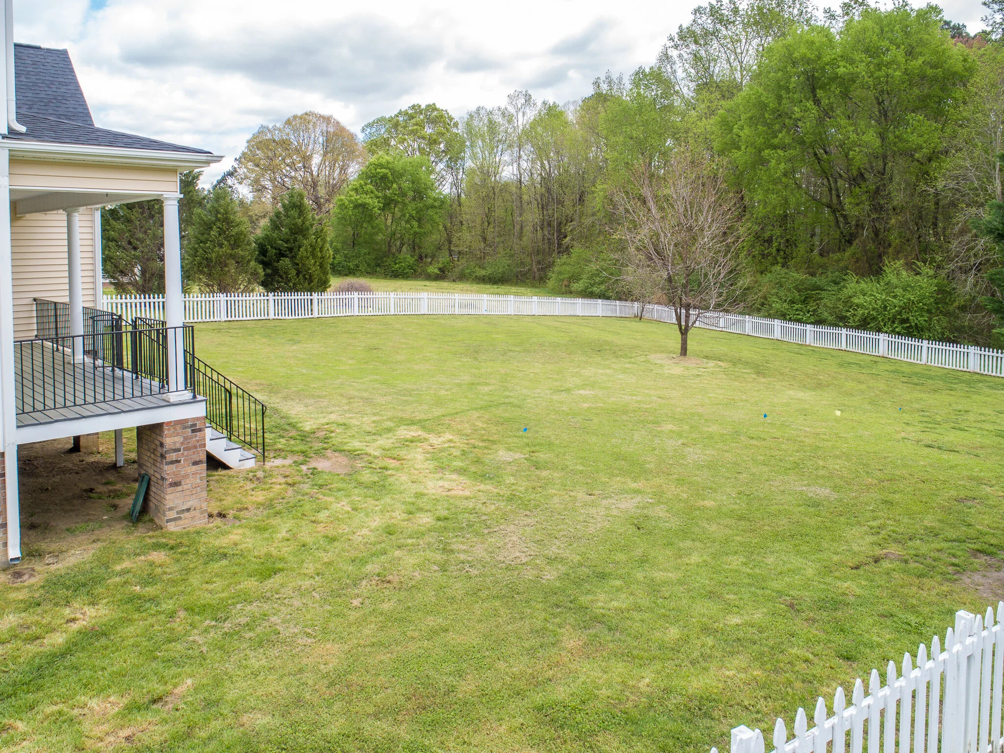 359-Backyard1(1).jpg