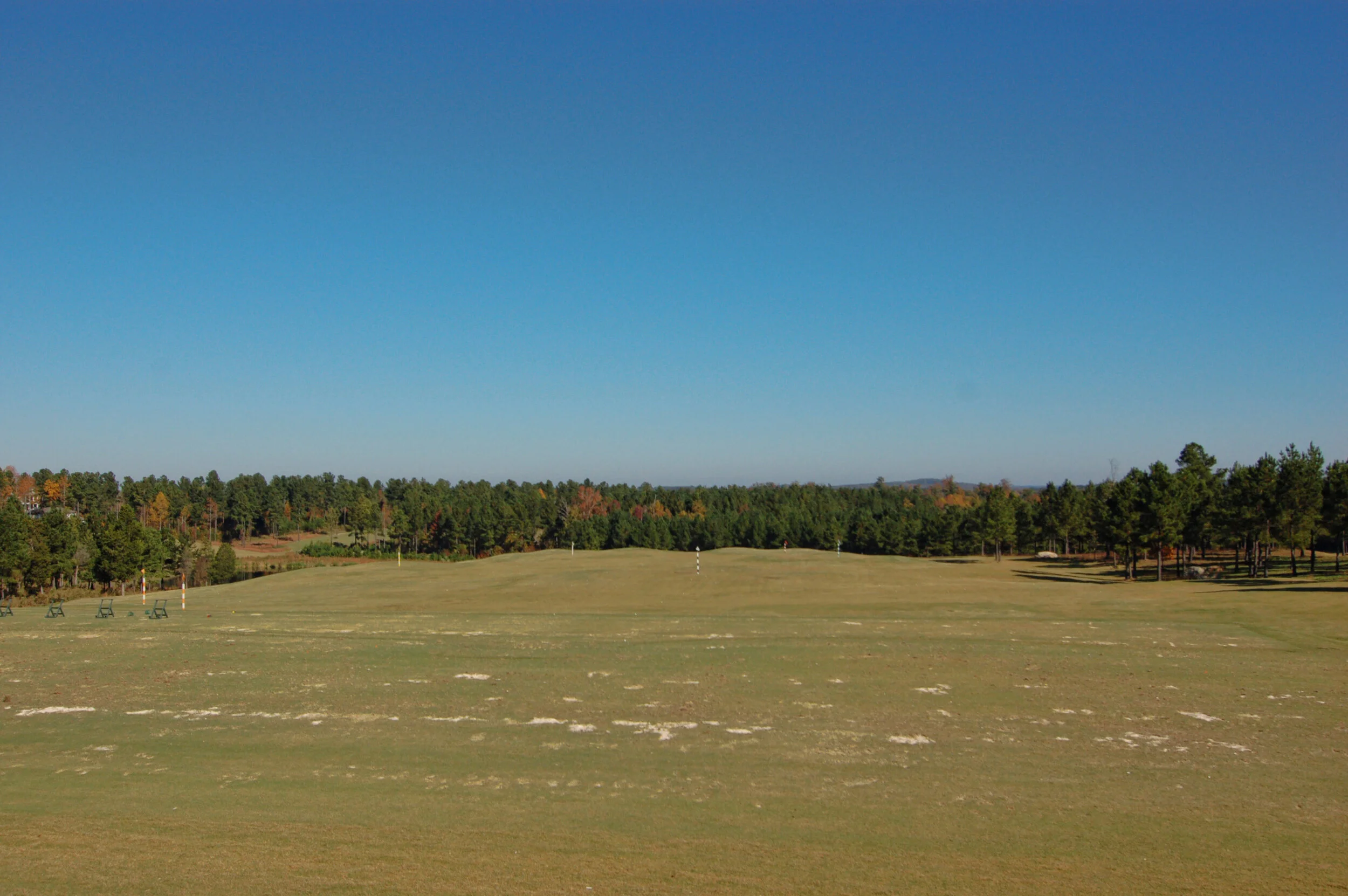 DSC_0893.JPG