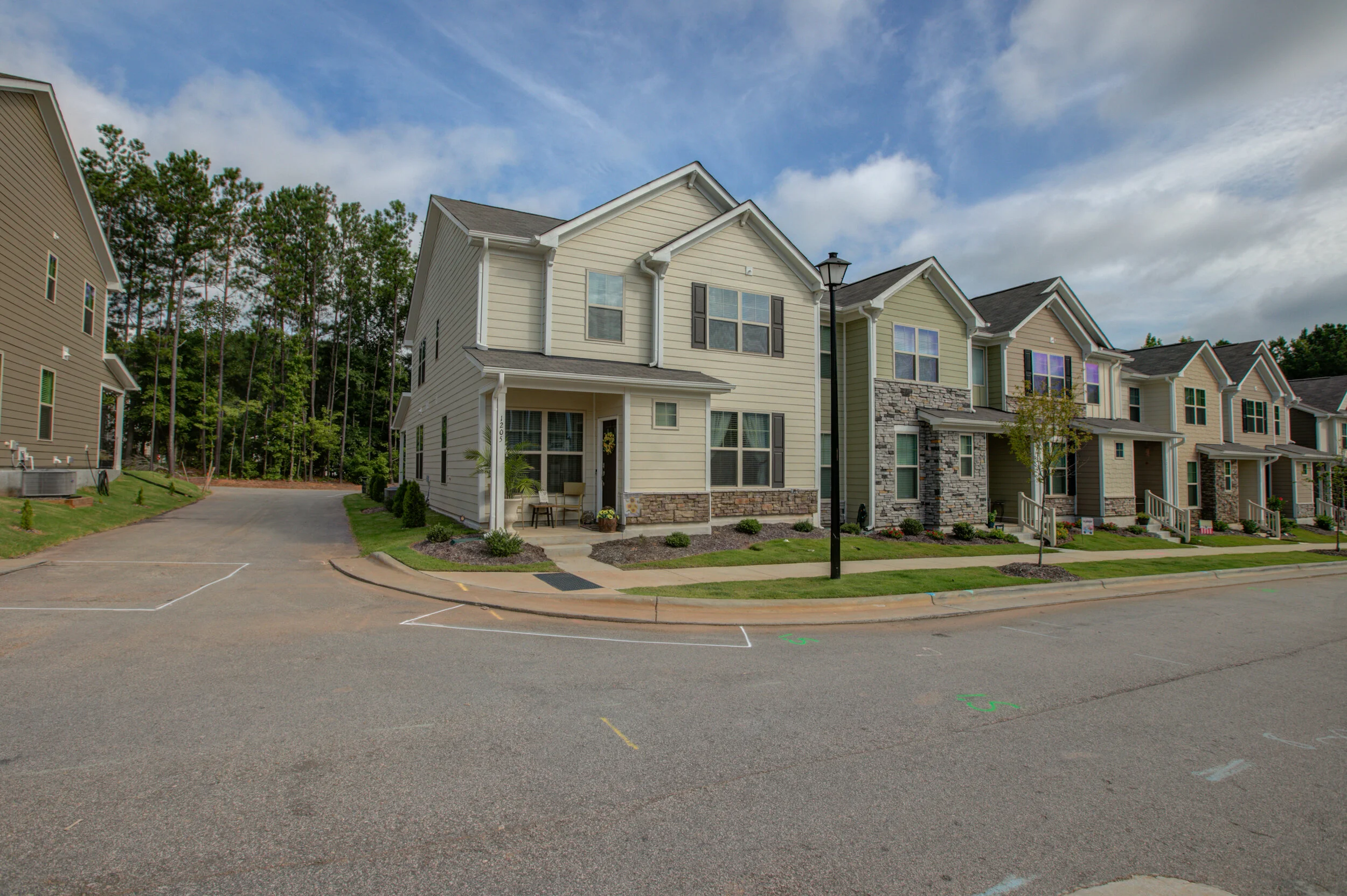 1205 Treetop Meadow Lane-3.jpg