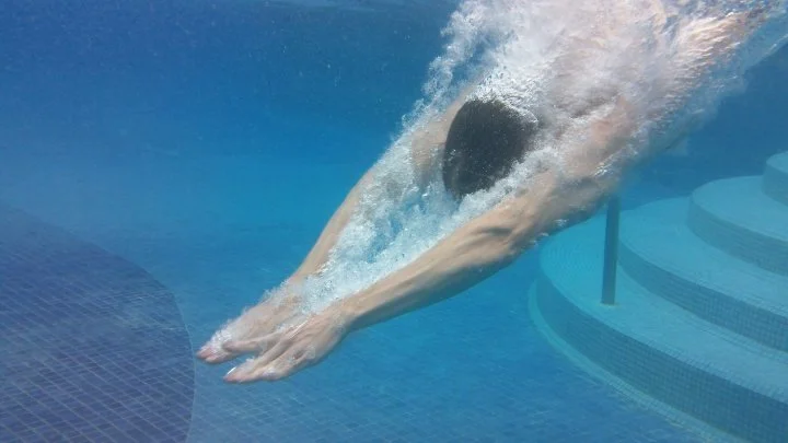 Dive In.jpg